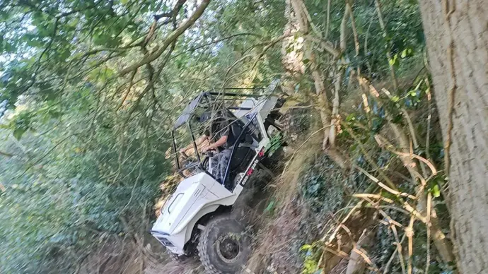 buggy